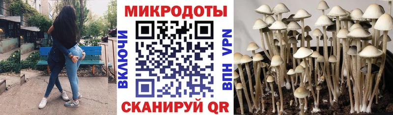 Галлюциногенные грибы MAGIC MUSHROOMS  мега маркетплейс  Болотное 